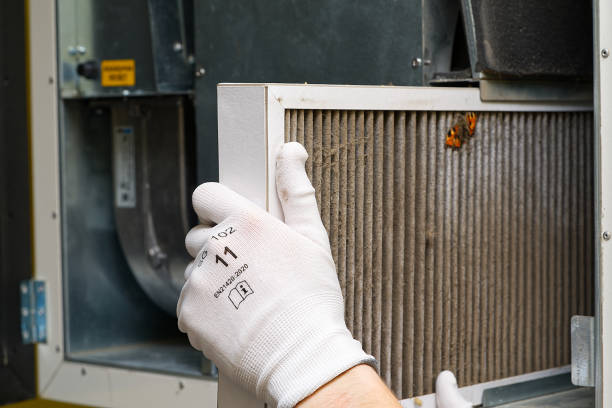 Best Ductwork Cleaning Services  in Lipatria, CA