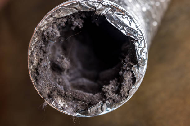 Best Emergency Air Duct Cleaning  in Lipatria, CA